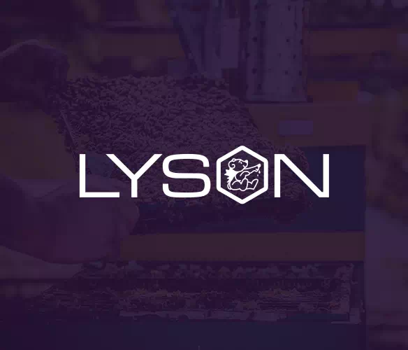 sklep-pasieka-lyson