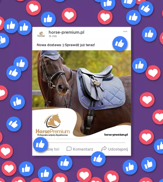 horse-premium